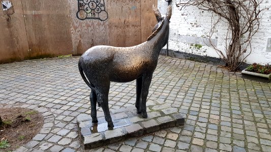 Maastricht-Sculptuur ezel Looiersgracht-Ezelmarkt (2)