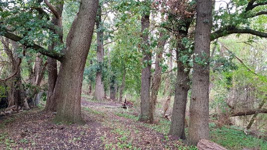 Maastricht-schacht ten westen Ganzendries (4)