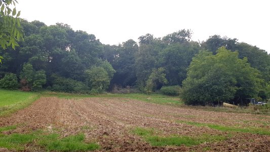 Maastricht-Grotwoning De Kluis (1)