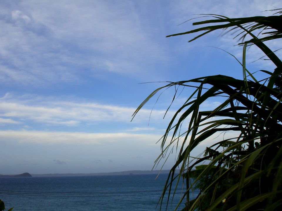 MADAGASCAR DIANA (14)
