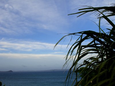 MADAGASCAR DIANA (14)