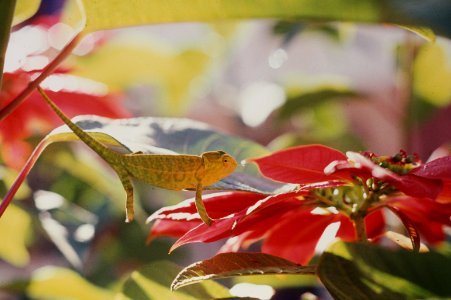 Madagascar74.038