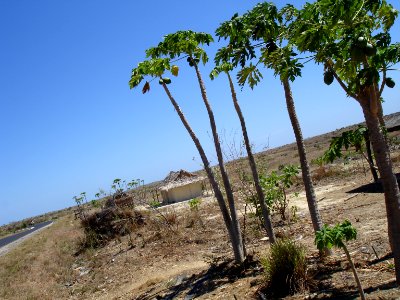 MADAGASCAR BETSIBOKA (1) photo