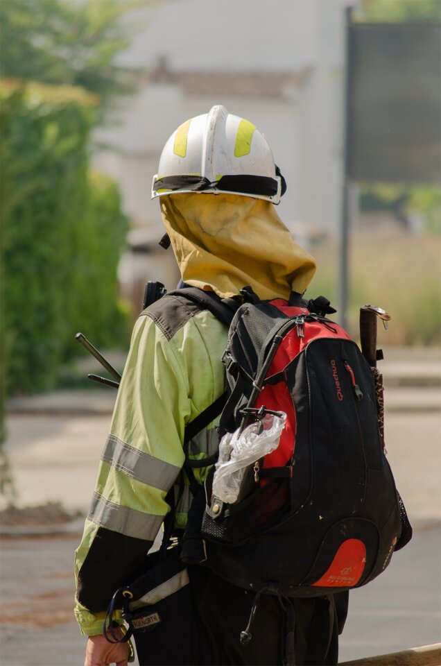 Training fireproof forest