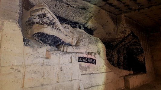 Maastricht-Gangenstelsel Zonneberg (61)