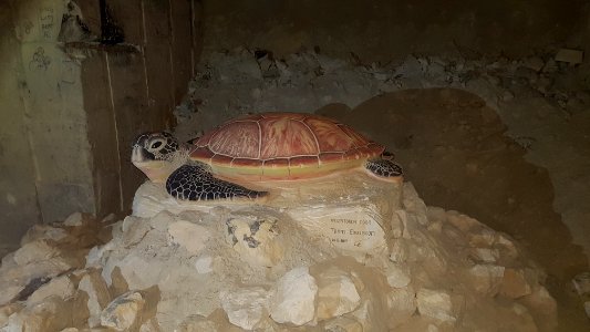 Maastricht-Gangenstelsel Zonneberg (52)