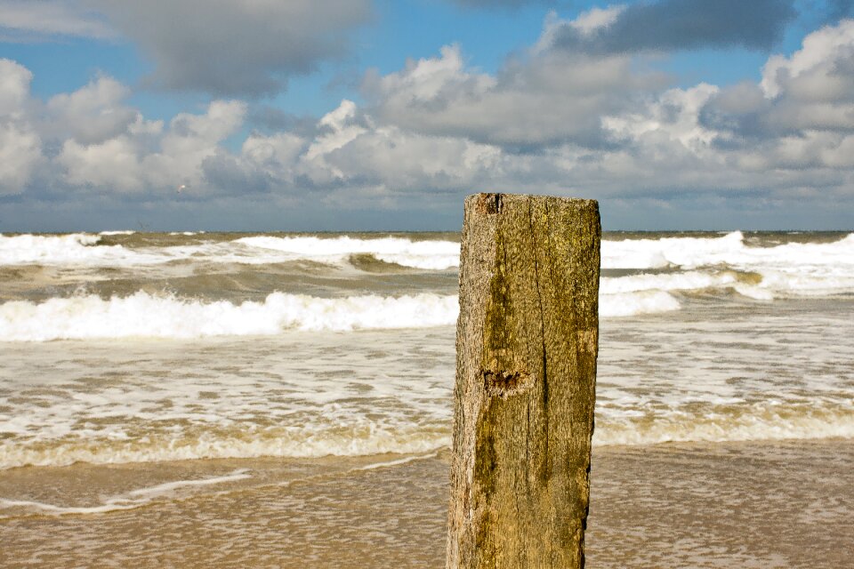 North sea summer nature