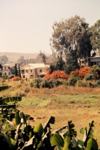 Madagascar74.060