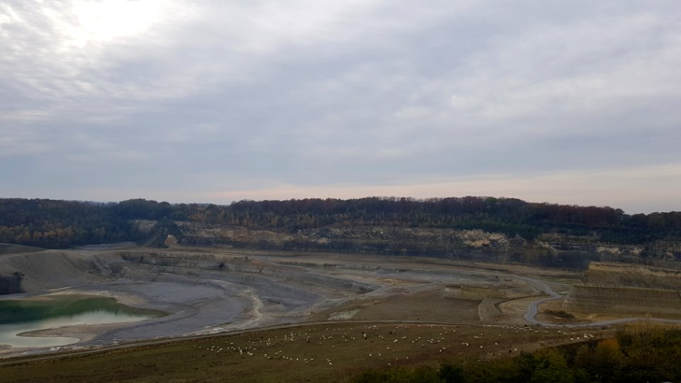 Maastricht-ENCI-bos