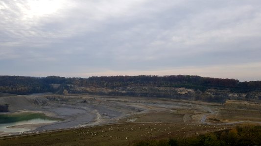 Maastricht-ENCI-bos