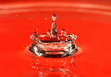 Drop water macro