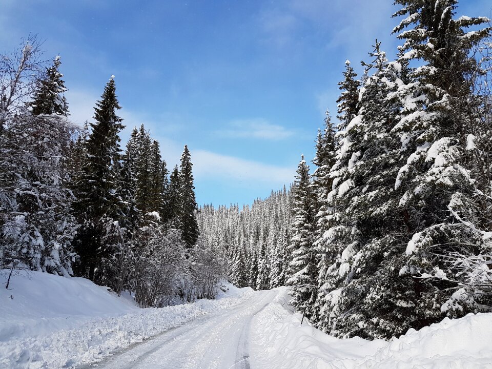Norway scandinavia snow