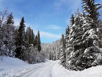 Norway scandinavia snow