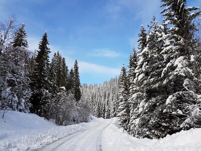 Norway scandinavia snow photo