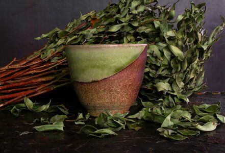Green tea healthy leaf photo