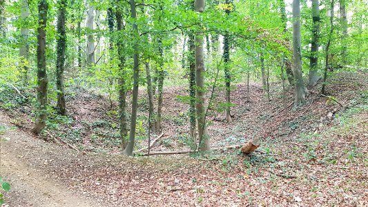 Maastricht-Oude Marendalgroeve (1)