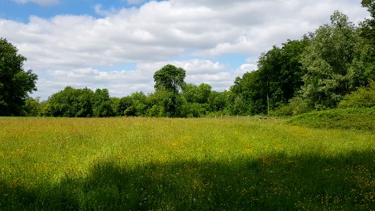 Maastricht-Petit-Lanaye-Grenspaal 53a (BE-NL) (2)