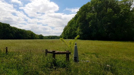 Maastricht-Petit-Lanaye-Grenspaal 54 (BE-NL) (4)
