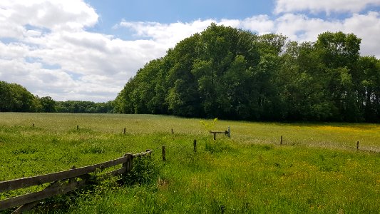 Maastricht-Petit-Lanaye-Grenspaal 54 (BE-NL) (3)