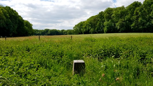 Maastricht-Petit-Lanaye-Grenspaal 53b (BE-NL) (3)