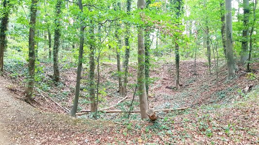 Maastricht-Oude Marendalgroeve (2)