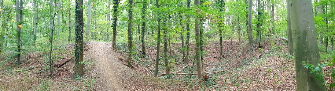 Maastricht-Oude Marendalgroeve (3)