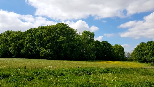 Maastricht-Petit-Lanaye-Grenspaal 53c (BE-NL) (1)