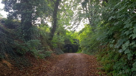 Maastricht-oostelijke ingang Van Schaïktunnel (2)