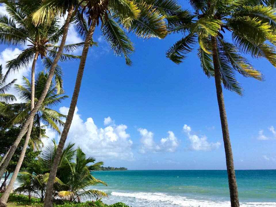 Sun holiday ocean
