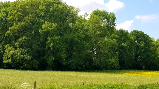 Maastricht-Petit-Lanaye-Grenspaal 53c (BE-NL) (2)