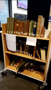 Maastricht-course 2019 - Opening up old books (3)