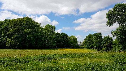 Maastricht-Petit-Lanaye-Grenspaal 53c (BE-NL) (3)