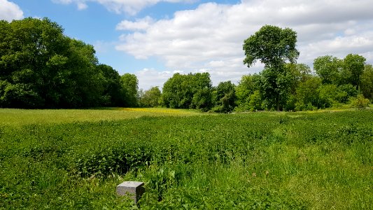 Maastricht-Petit-Lanaye-Grenspaal 53b (BE-NL) (4)