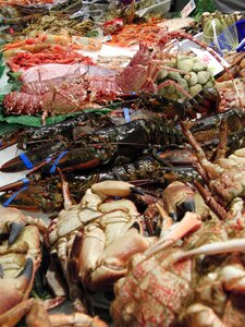 Boqueria barcelona food