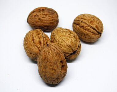 Almonds fruit shell photo