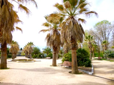 Madrid - Carabanchel - Parque de San Isidro 6