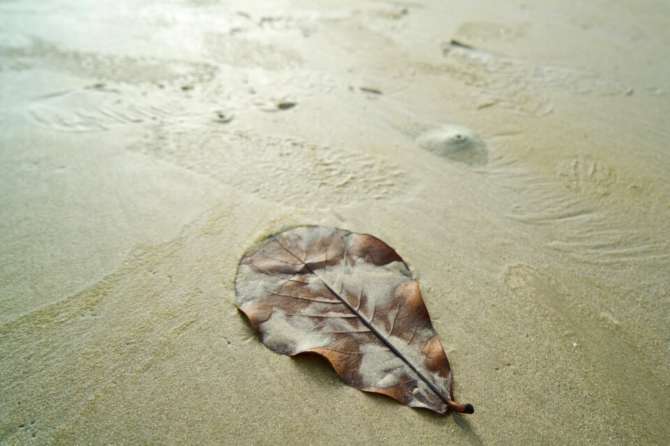 Travel sand environmental