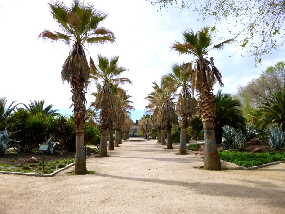 Madrid - Carabanchel - Parque de San Isidro 5