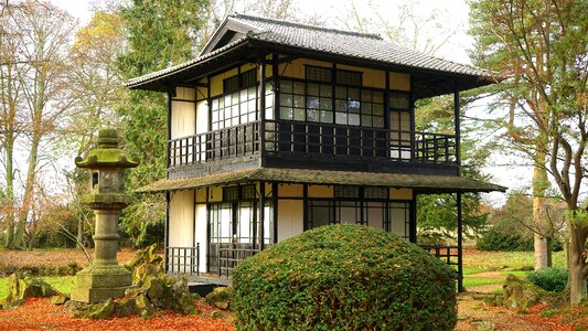 Design wooden construction
