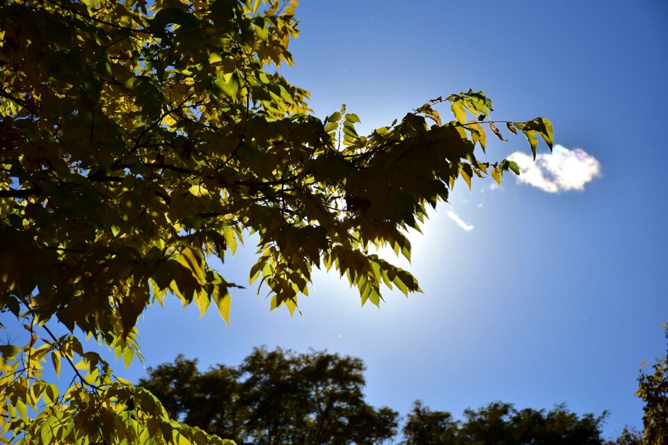 Sky sun clouds