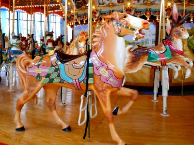 Mad Horse Carousel Philly