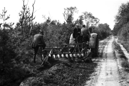 Machines, werktuigen, arbeiders, ploegen, De Rips, Bestanddeelnr 170-0722