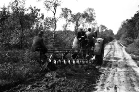 Machines, werktuigen, arbeiders, ploegen, De Rips, Bestanddeelnr 170-0721