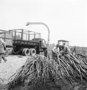 Machines, werktuigen, boomstammen, arbeiders, Bestanddeelnr 253-6034