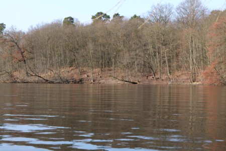 Machnower See 2021-02-24 03