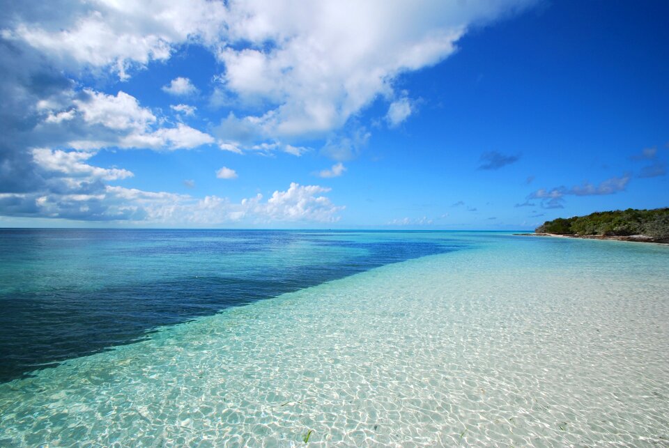 Water beach sea