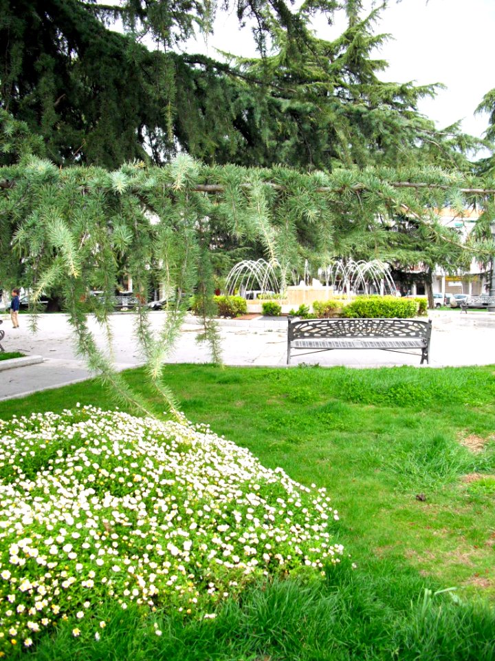 Madrid - Barajas, Plaza de los Hermanos Falcó y Álvarez de Toledo 06