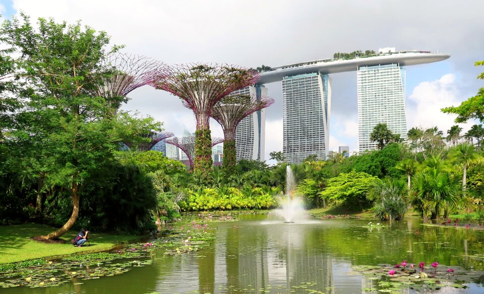 Singapore super trees marina bay sands photo