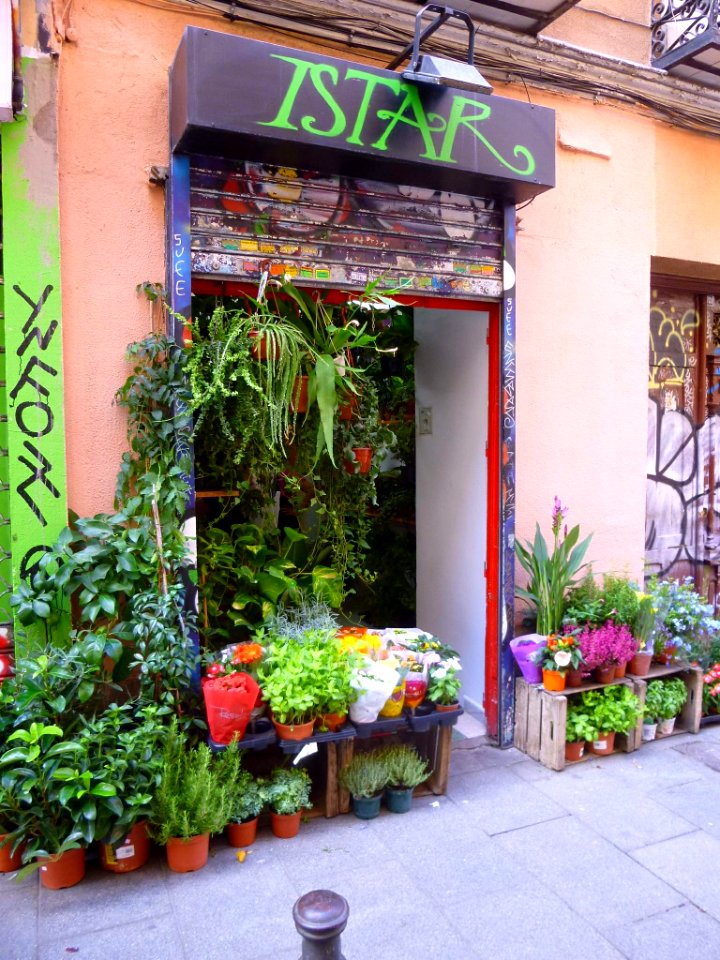Madrid - Barrio de Malasaña 50