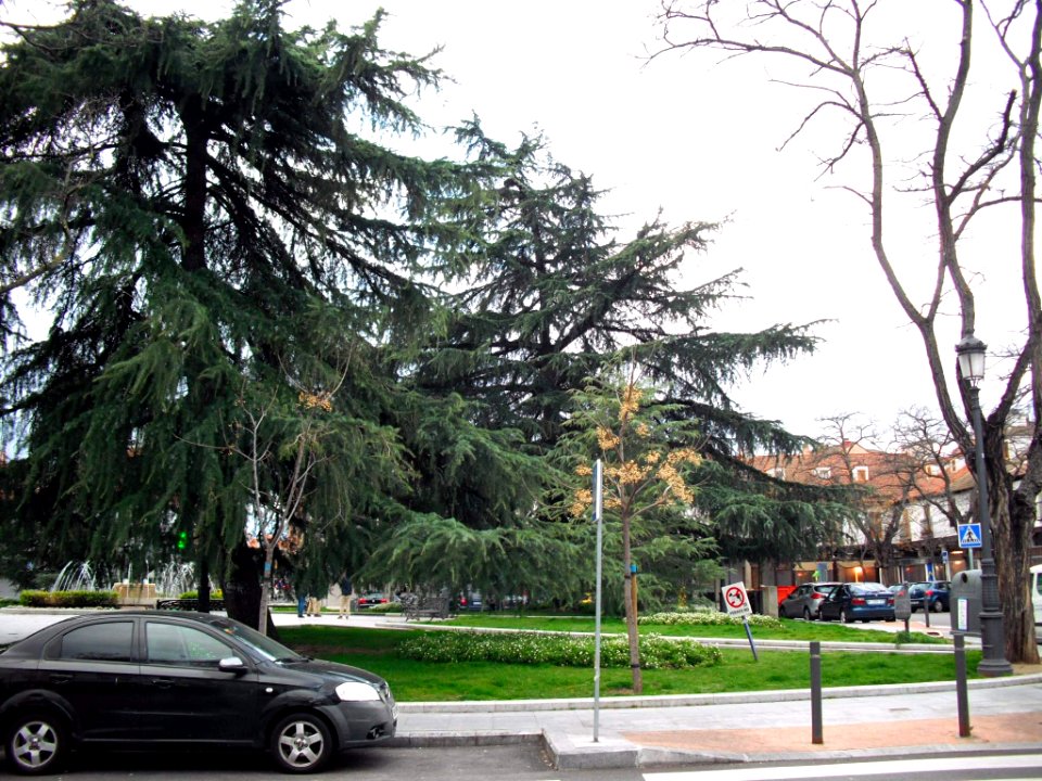 Madrid - Barajas, Plaza de los Hermanos Falcó y Álvarez de Toledo 11